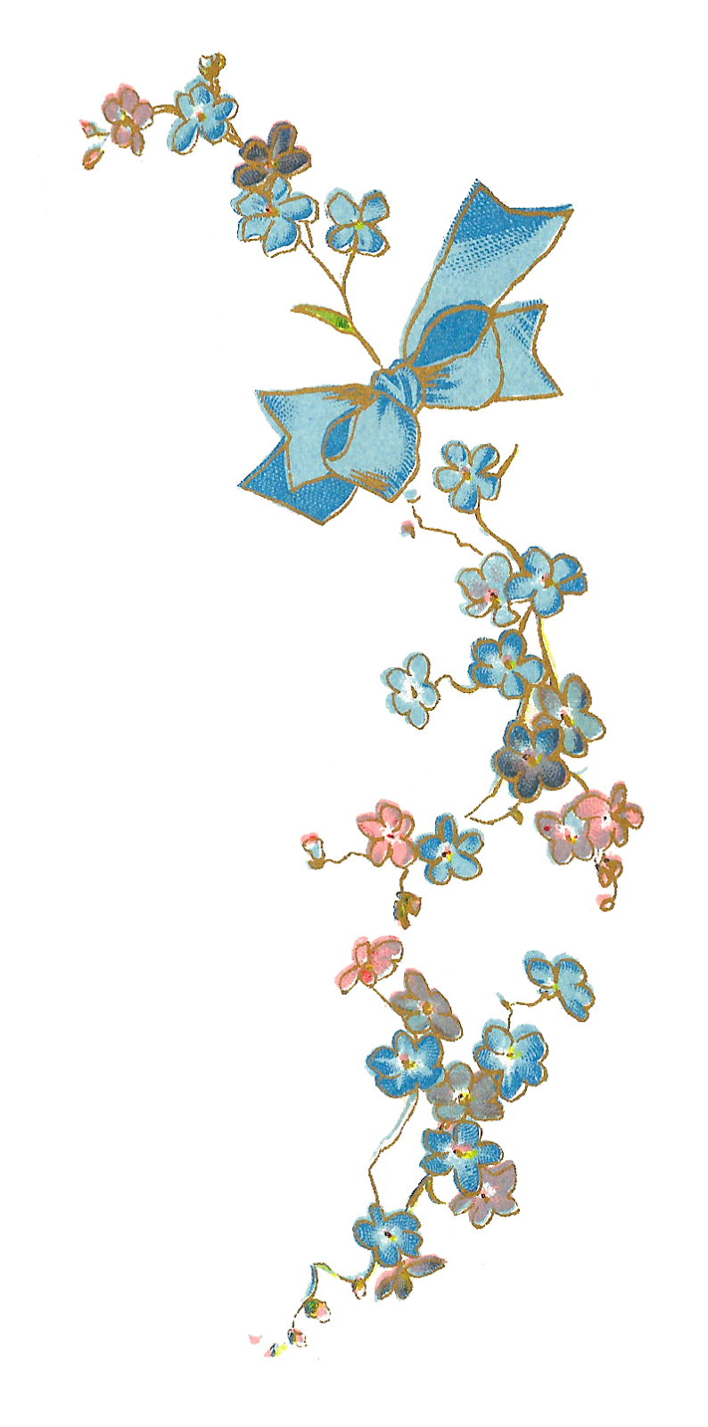This Is A Very Pretty Vintage Graphic Of Forget Me Not Flowers From A