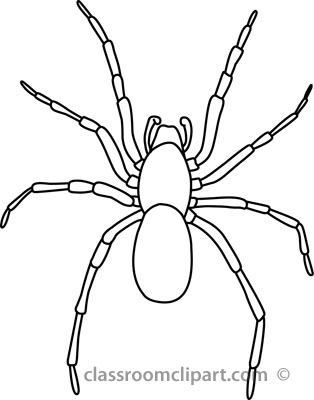 Animals   House Spider Outline 03 22912   Classroom Clipart
