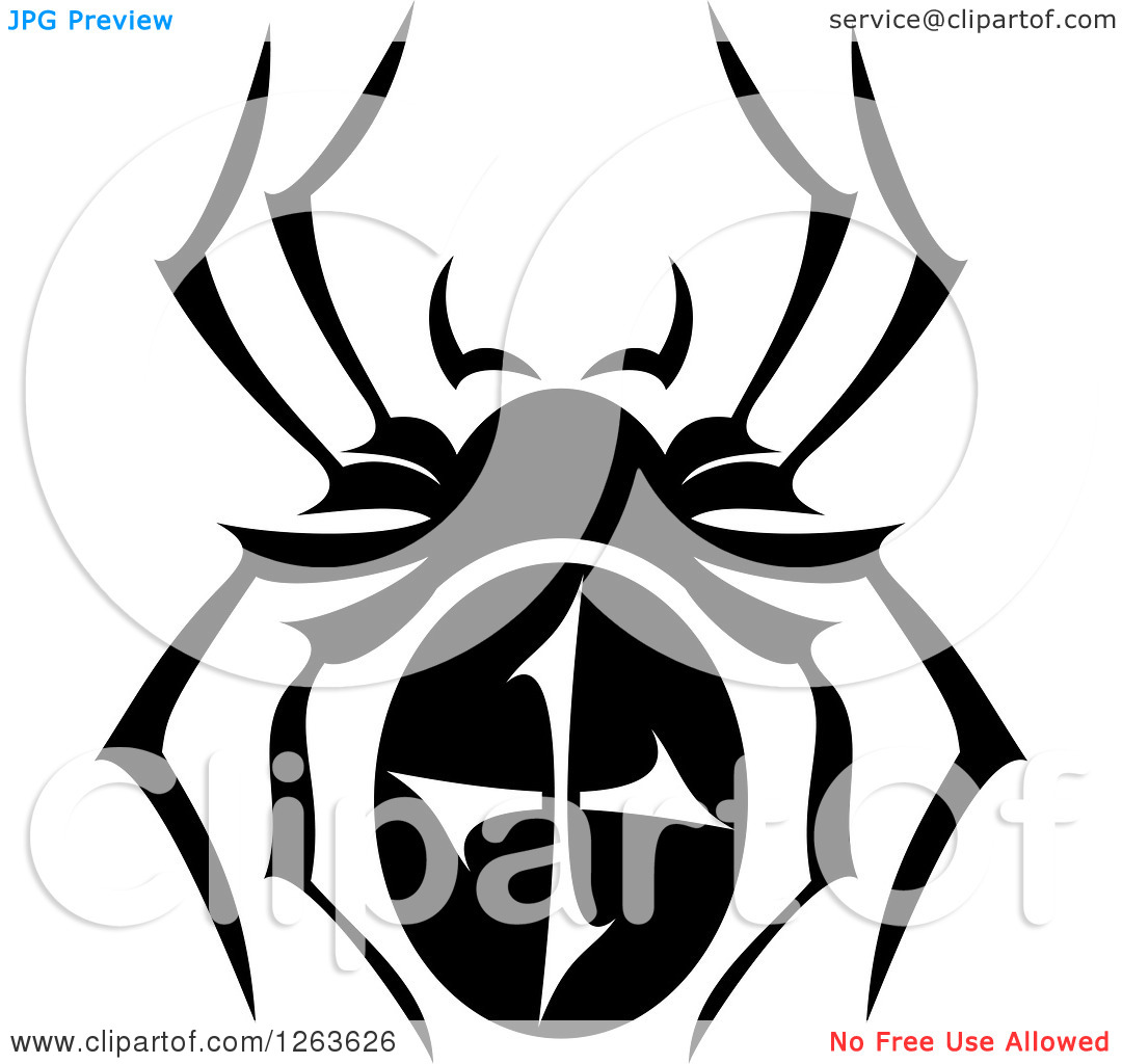 Clipart Of A Black And White Spider   Royalty Free Vector Illustration