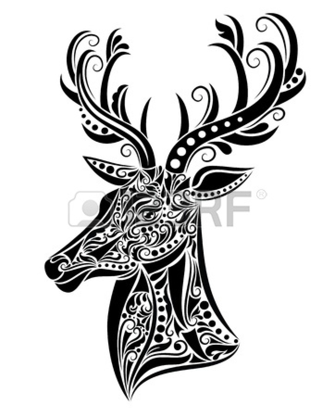 Whitetail Deer Clip Art Deer Head Images Stock Pictures Royalty Free