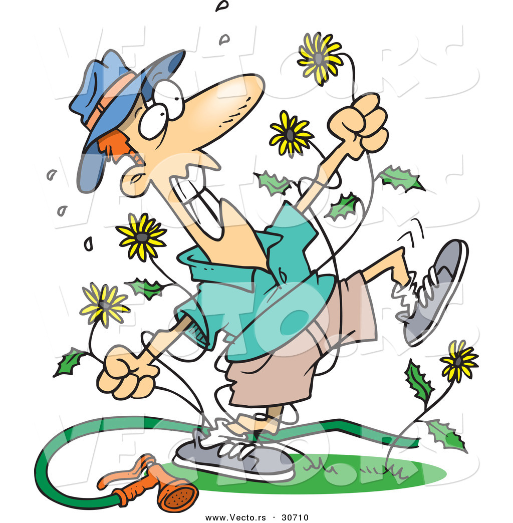 Larger Preview  Vector Of A Mad Cartoon Man Killing Dandelion Weeds By