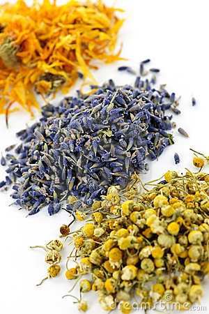 Piles Of Dried Medicinal Herbs Camomile Lavender Calendula On White