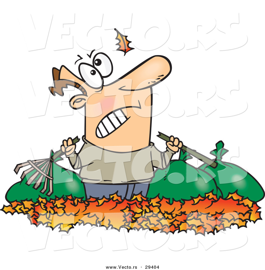 Watching Another Leaf Fall On His Piles And Bags Of Raked Autumn Leafs