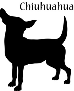 Clip Art Images Chihuahua Stock Photos   Clipart Chihuahua Pictures