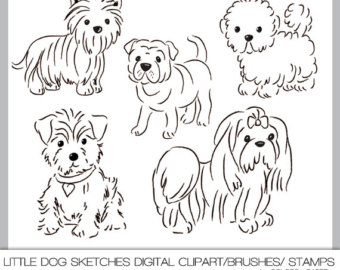 Digital Clipart Little Dog Sketche S  300 Dpi Png Files Brushes And