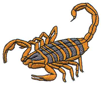 More Scorpion Tattoos      Clipart Panda   Free Clipart Images