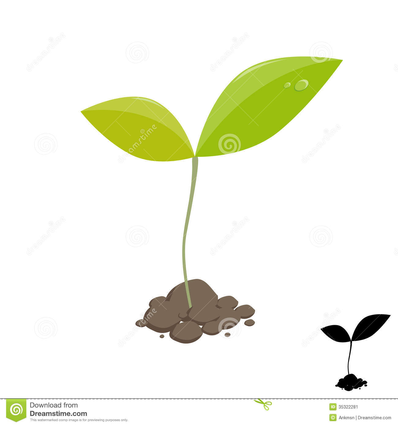 Sprouting Seed Clipart Little Plant Sprout Stock