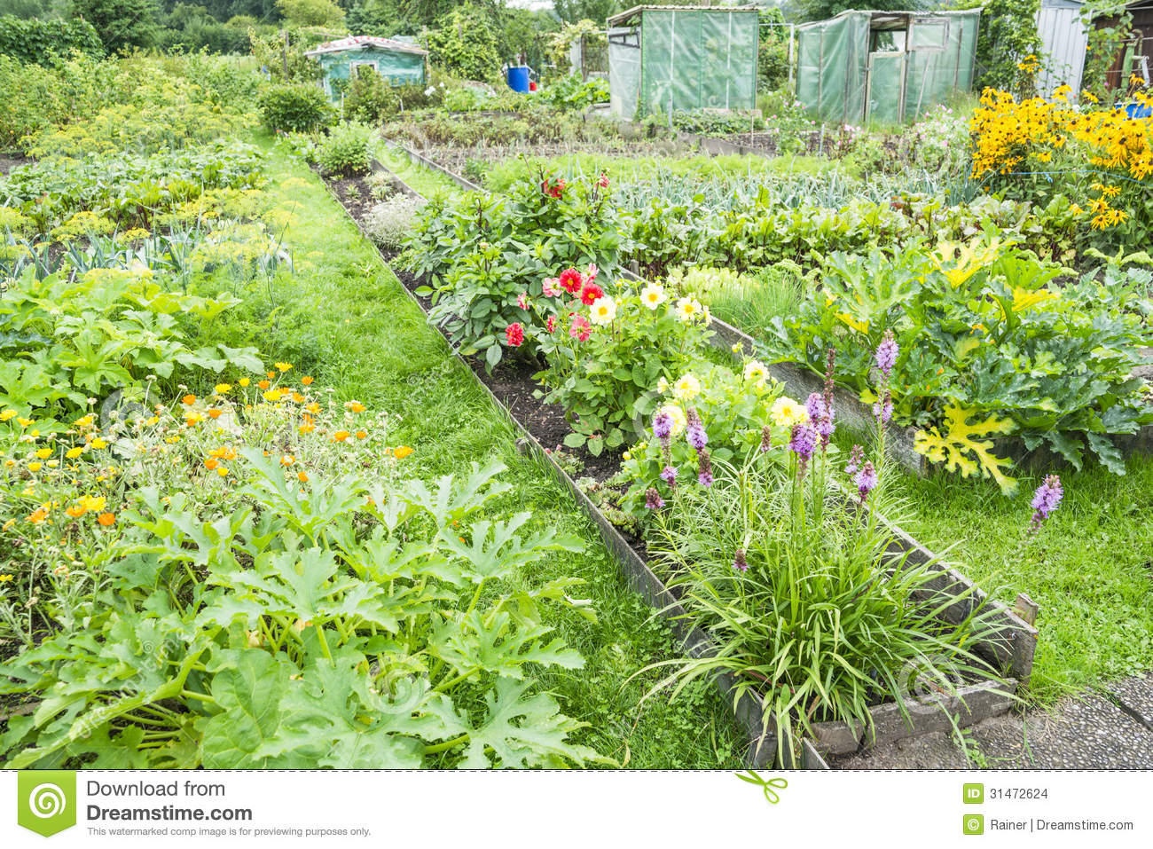 Various Flowers In A Vegetable Garden Patch