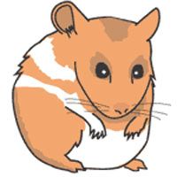 Clipart Hamster More Clipart Hamsters Art Gallery Hamsters Art