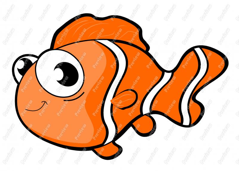 Clown Fish Pictures Free Quality Clipart   Free Clip Art Images