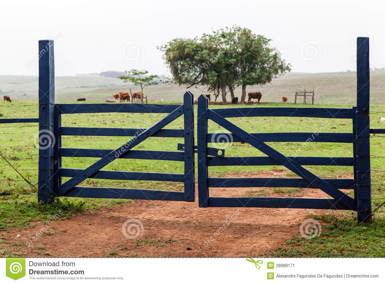 Farm Gate Stock Image   Image  28989171