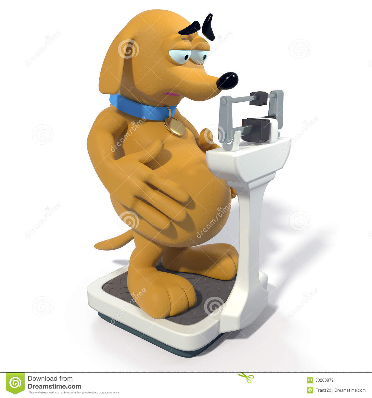 Fat Brown Dog On Scale Royalty Free Stock Images   Image  33263879