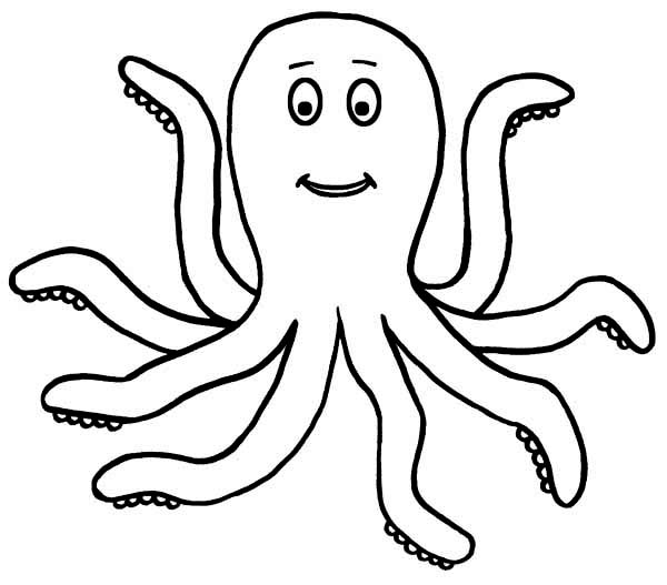 Realistic Octopus Coloring Page   Clipart Panda   Free Clipart Images