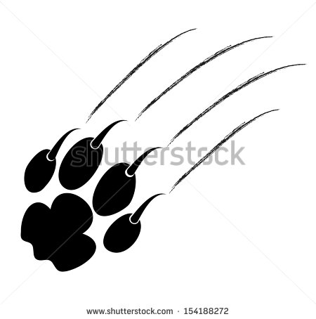 Trace Of Claws Of A Predator On A White Background   Stock Vector