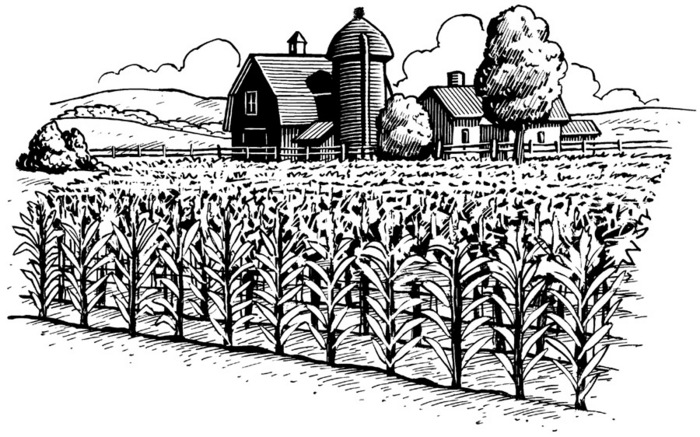 Colonial Farming Clipart Farm Scenes Farm  D  Clip Art