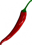 Chili Bean Brand Vector   Download 1000 Vectors  Page 1