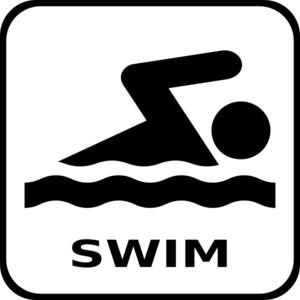 Swim Icon Clip Art At Clker Com   Vector Clip Art Online Royalty Free