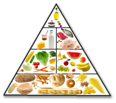 Basically The Food Pyramid Is A Basic Guideline Of What You Should Be