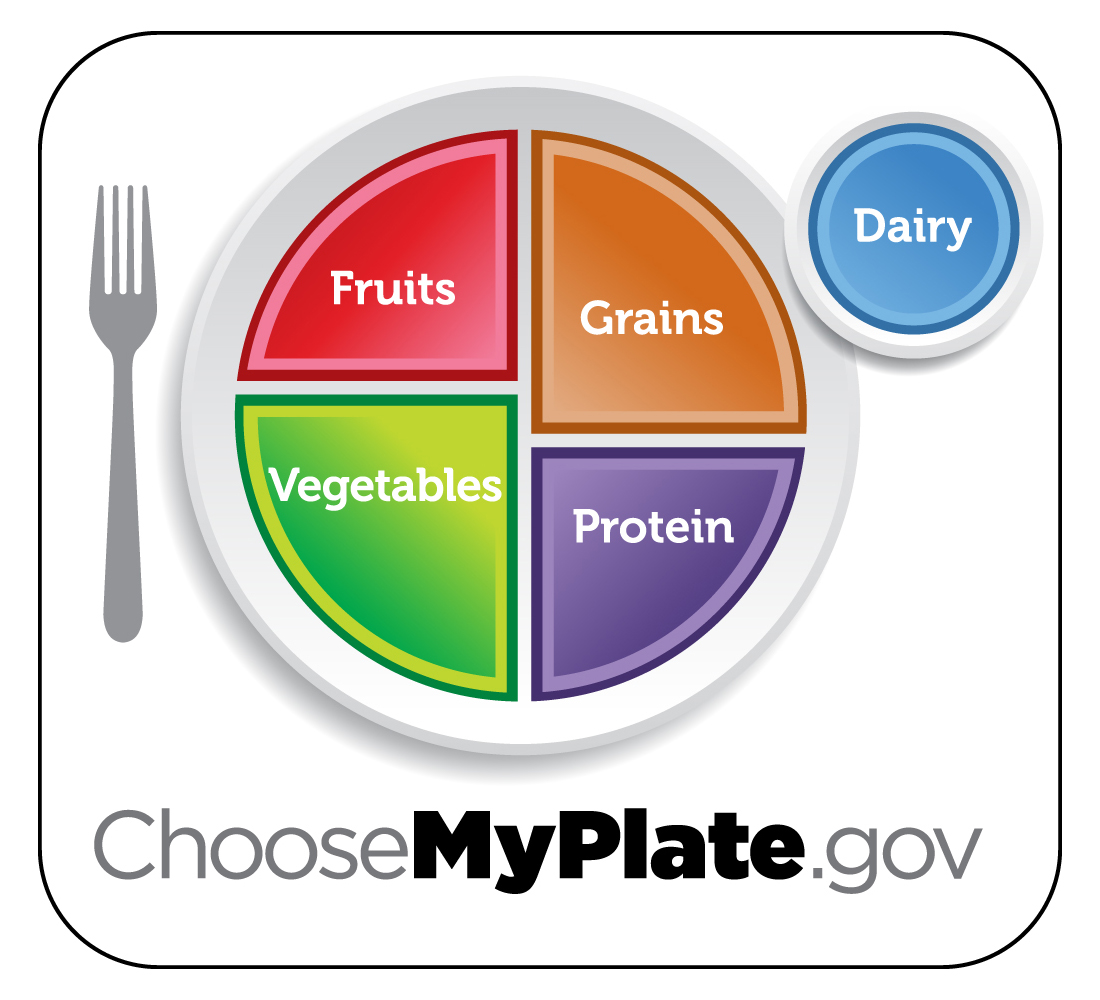 The New Food Plate Replaces The Food Pyramid