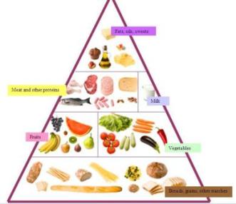 This Food Pyramid Is Divided Into 6 Food Groupswith Each Group