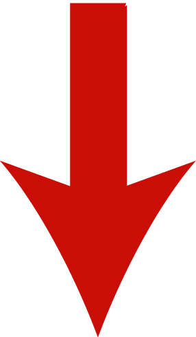 Red Arrow Pointing Down   Clipart Best