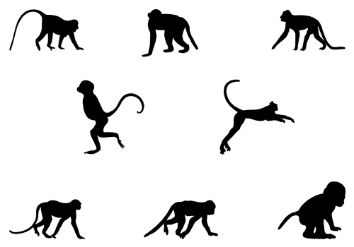 Download Monkey Silhouette Mischievous Monkey Vectorssilhouette Clip