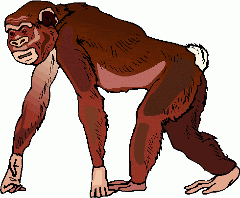 Monkey 3 Clipart   Monkey 3 Clip Art