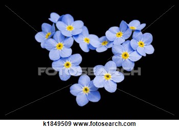 Stock Photograph   Don  T Forget Me    Fotosearch   Search Stock