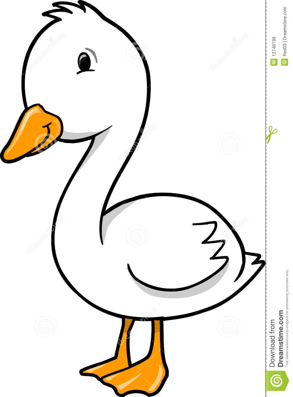 Duck Goose Royalty Free Stock Images   Image  12746199