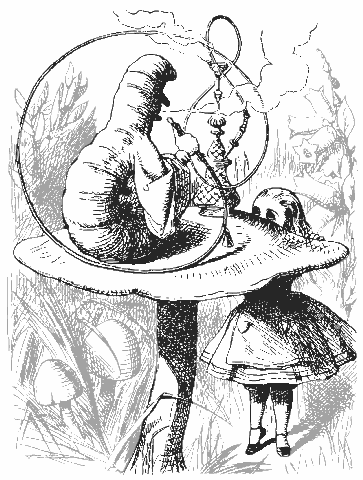 Books Alice In Wonderland Alice Meets The Caterpillar Png Html