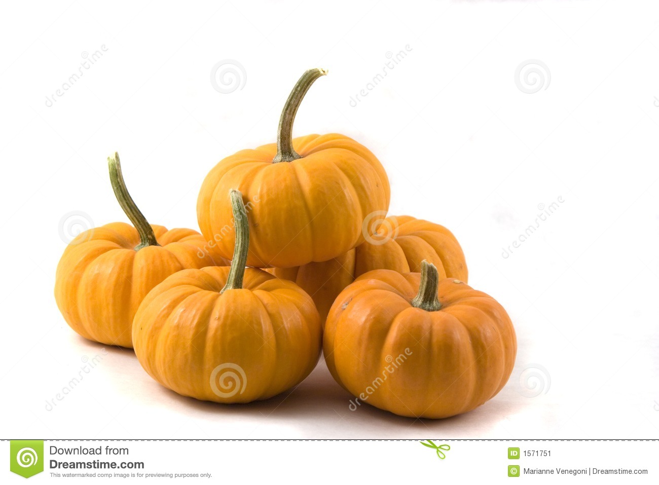 Five Pumpkins On White Stock Image   Image  1571751