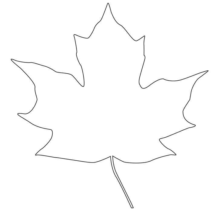 Maple Leaf Outline Leaf Outline Clip Art