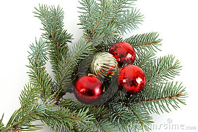 Decorated Christmas Bough  3 Royalty Free Stock Photography   Image