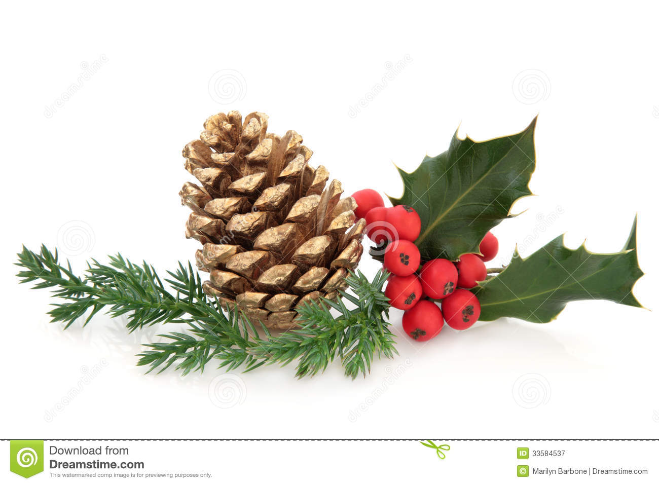 Holly And Pine Cone Decoration Royalty Free Stock Photography   Image
