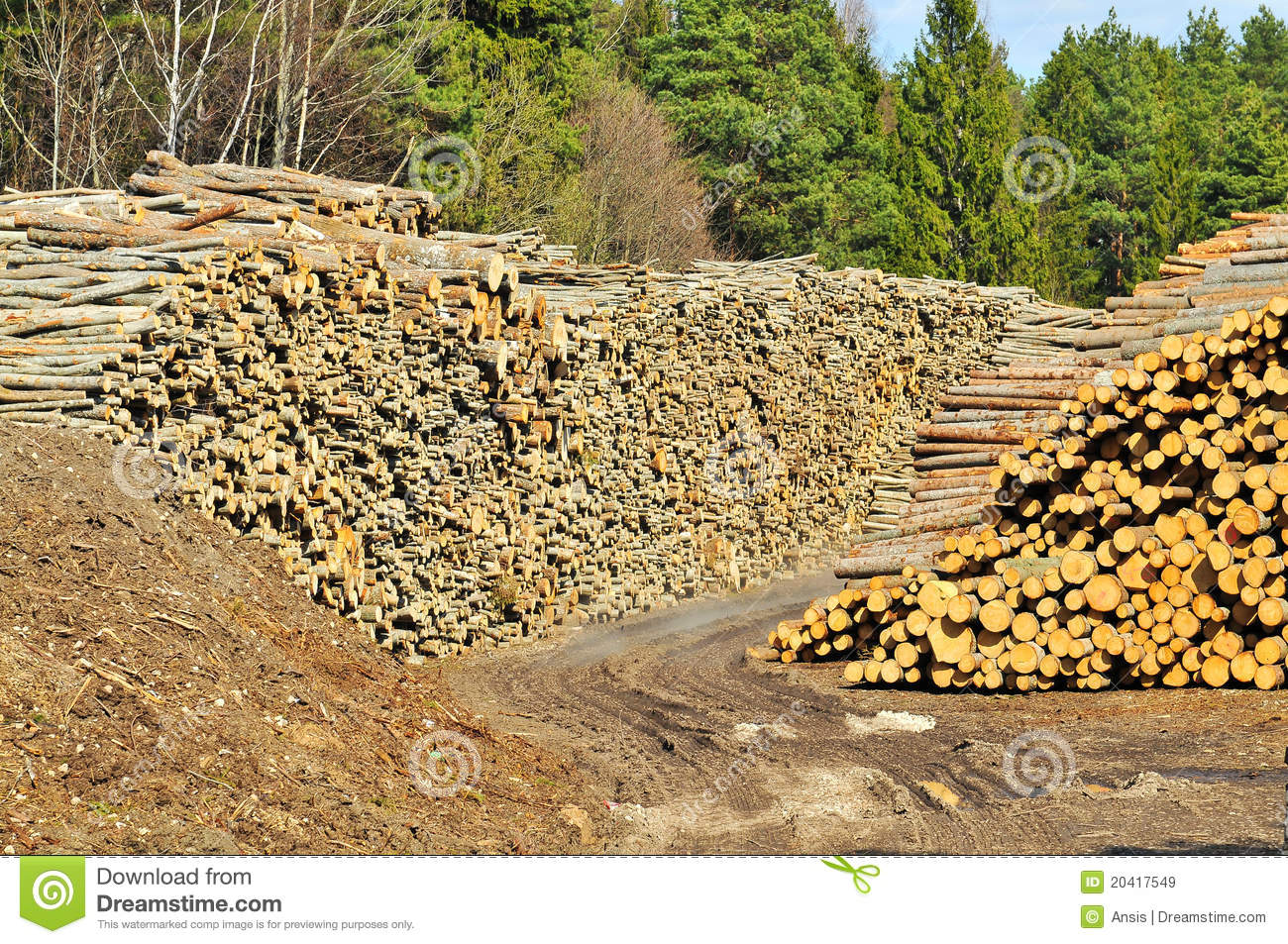 Lumber Pile Royalty Free Stock Images   Image  20417549