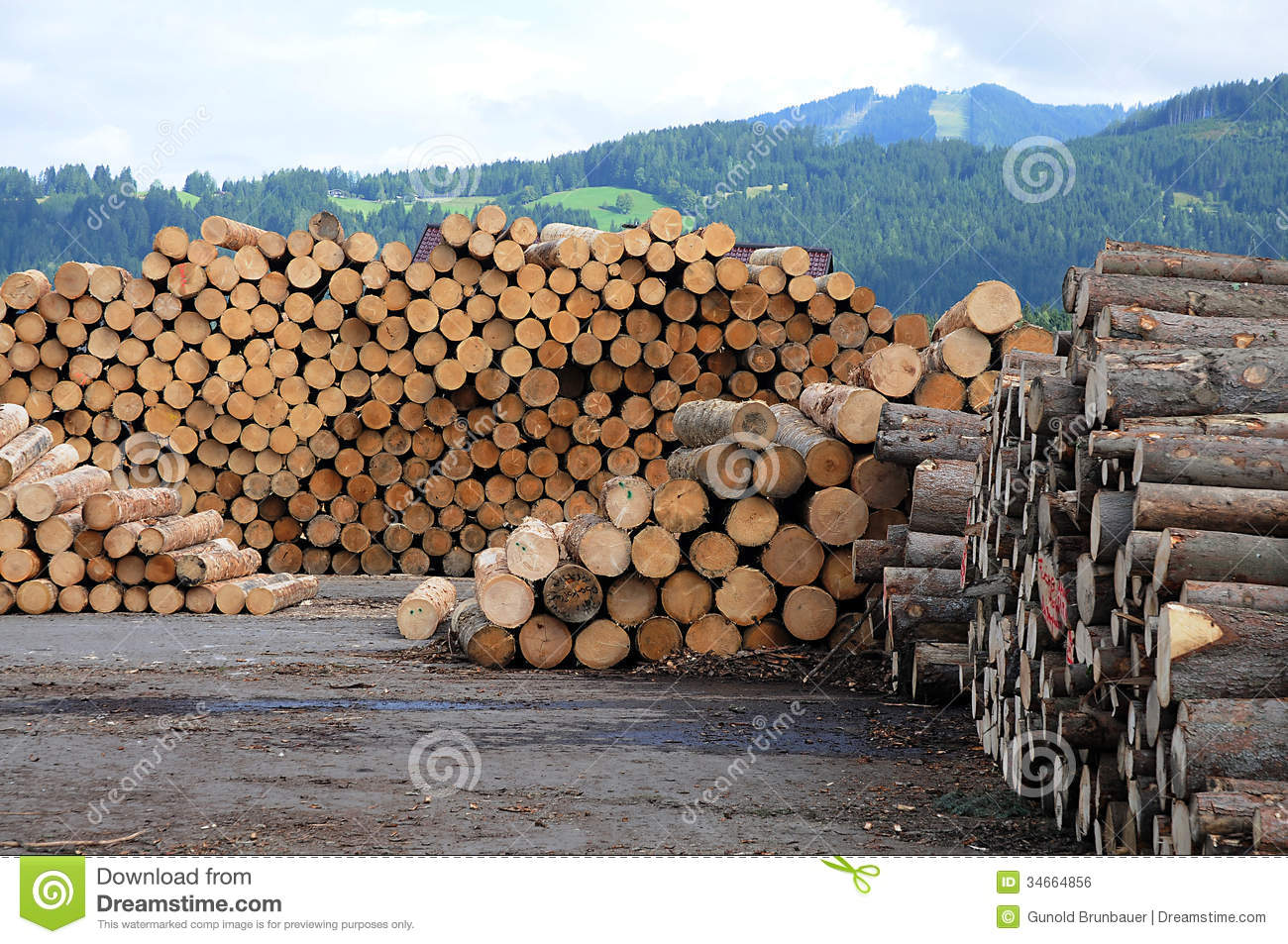 Pile Of Cut Lumber Wood In Front Of The Mountains In Austria