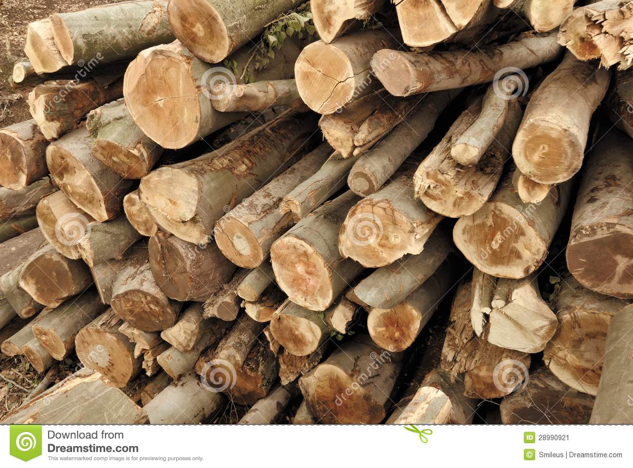 Pile Of Lumber Stock Image   Image  28990921