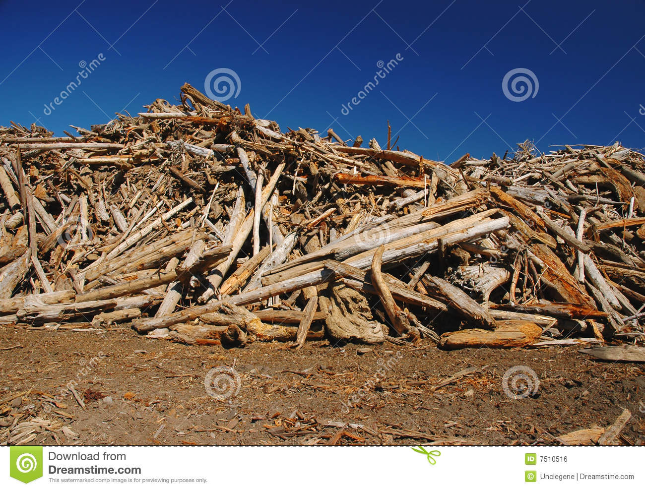 Pile Of Wood Royalty Free Stock Image   Image  7510516