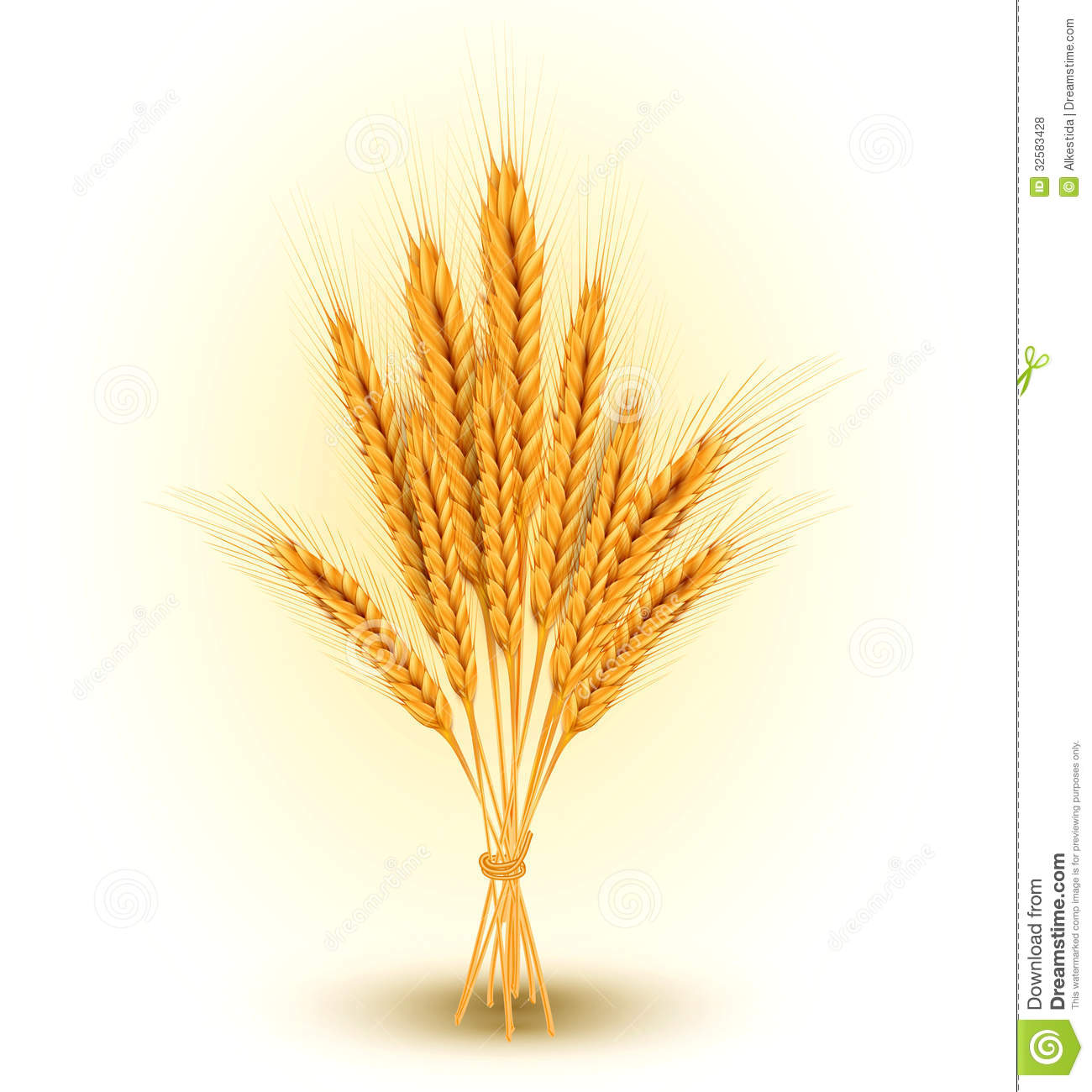 Vector Background With A Sheaf Of Golden Wheat Ear Royalty Free Stock