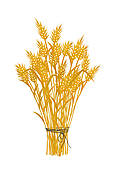Wheat Clipart Illustrations  4561 Wheat Clip Art Vector Eps Drawings
