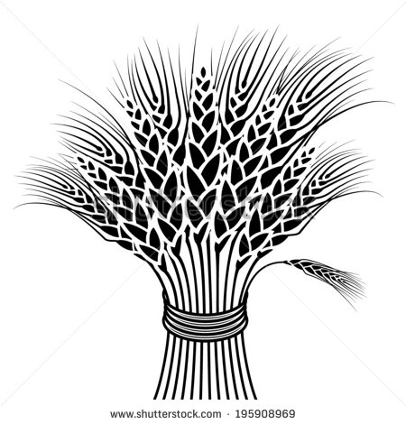 Wheat Sheaf Stock Photos Illustrations And Vector Art