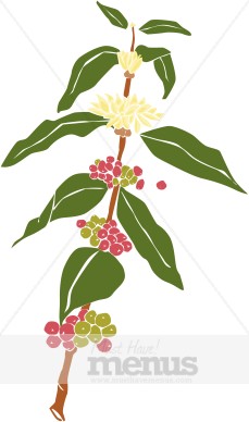 Coffee Plant Clipart
