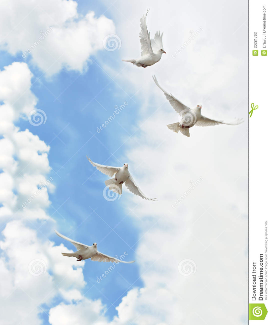 Group White Doves Stock Photography   Image  20281762