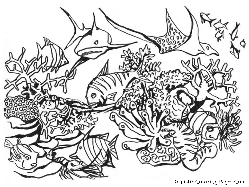 Ocean Animals Kids Coloring Pages