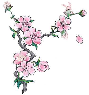 Cartoon Cherry Blossom Tree   Cliparts Co