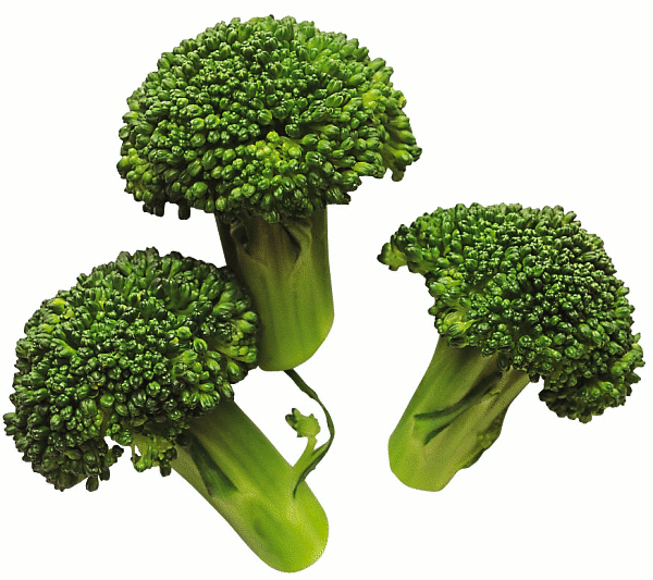 Search Terms  Broccoli Broccoli And Cheese Broccoli Crown Food