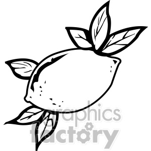 Royalty Free Black And White Lemon Clipart Image Picture Art   141821