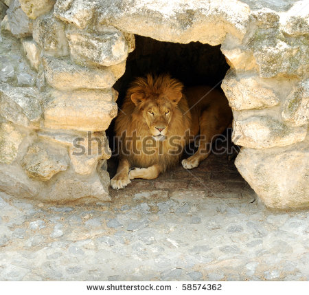 Animal Cave Stock Photos Illustrations And Vector Art