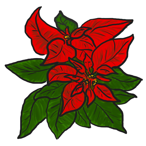 Clipartlord Com Exclusive The Poinsettia Plant Is An Important Plant