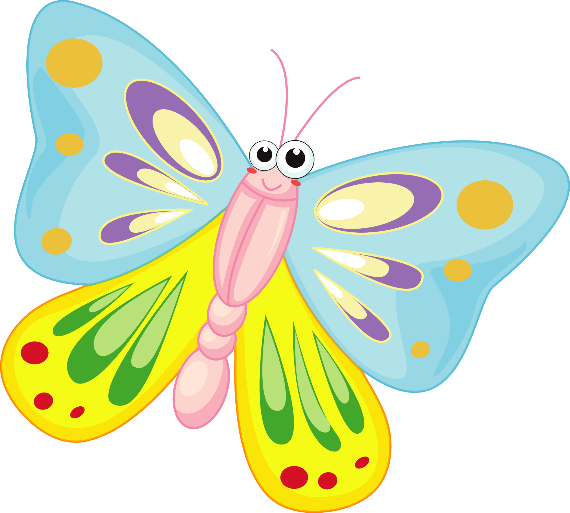 Butterfly Cartoon Pictures   Cliparts Co